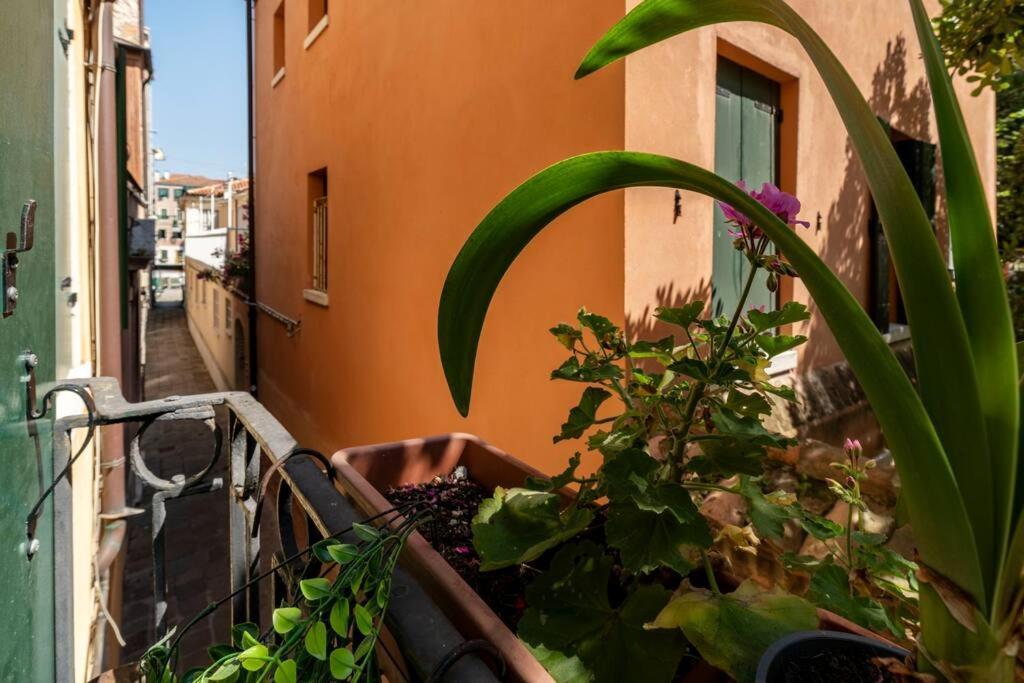 Appartement Ca' Mandorla 027042loc09523 Venetië